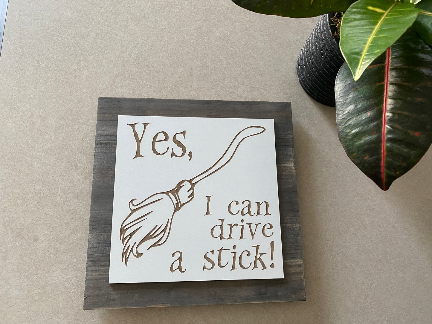 Yes, I Can Drive A Stick Sign